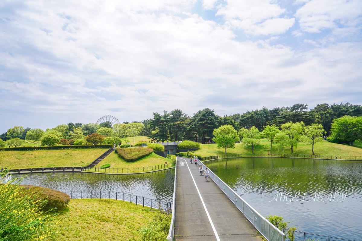 日本春季賞花｜茨城「國營常陸海濱公園」無限延伸的夢幻粉藍地毯 @梅格(Angelababy)享樂日記