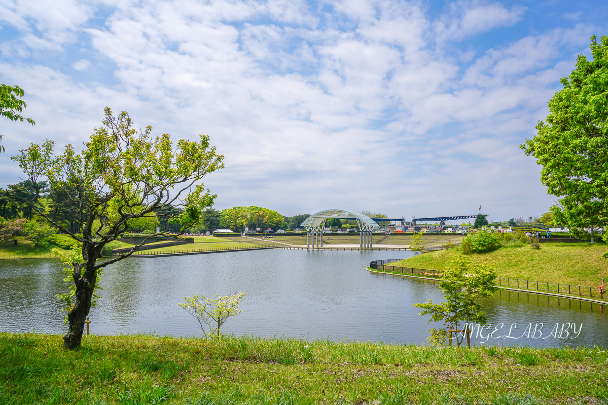 日本春季賞花｜茨城「國營常陸海濱公園」無限延伸的夢幻粉藍地毯 @梅格(Angelababy)享樂日記