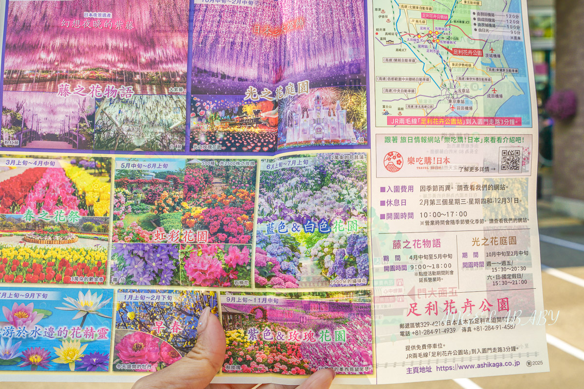 東京『足利花卉公園』CNN選為「世界10大夢幻旅遊景點」之一、鬼滅迷朝聖的必訪之地 @梅格(Angelababy)享樂日記