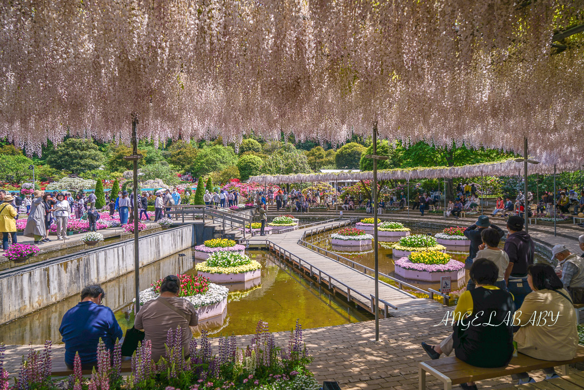 東京『足利花卉公園』CNN選為「世界10大夢幻旅遊景點」之一、鬼滅迷朝聖的必訪之地 @梅格(Angelababy)享樂日記