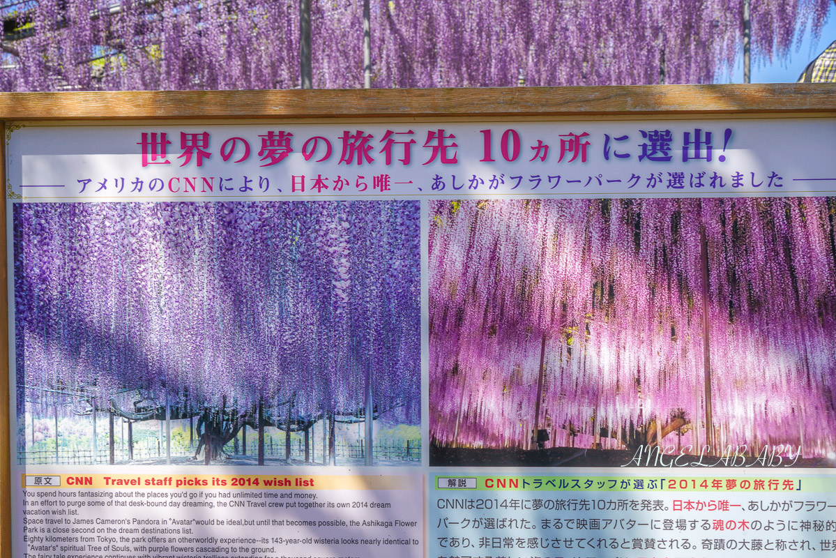 東京『足利花卉公園』CNN選為「世界10大夢幻旅遊景點」之一、鬼滅迷朝聖的必訪之地 @梅格(Angelababy)享樂日記