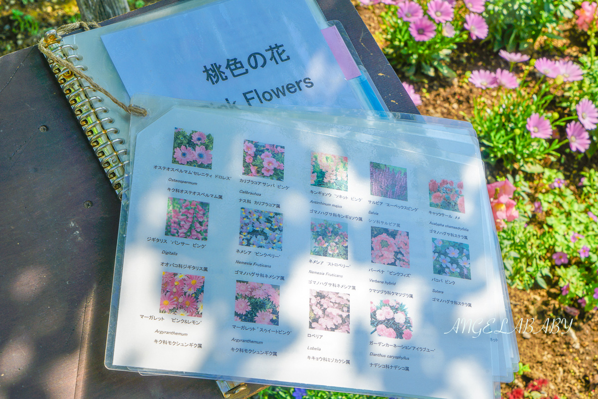 東京『足利花卉公園』CNN選為「世界10大夢幻旅遊景點」之一、鬼滅迷朝聖的必訪之地 @梅格(Angelababy)享樂日記