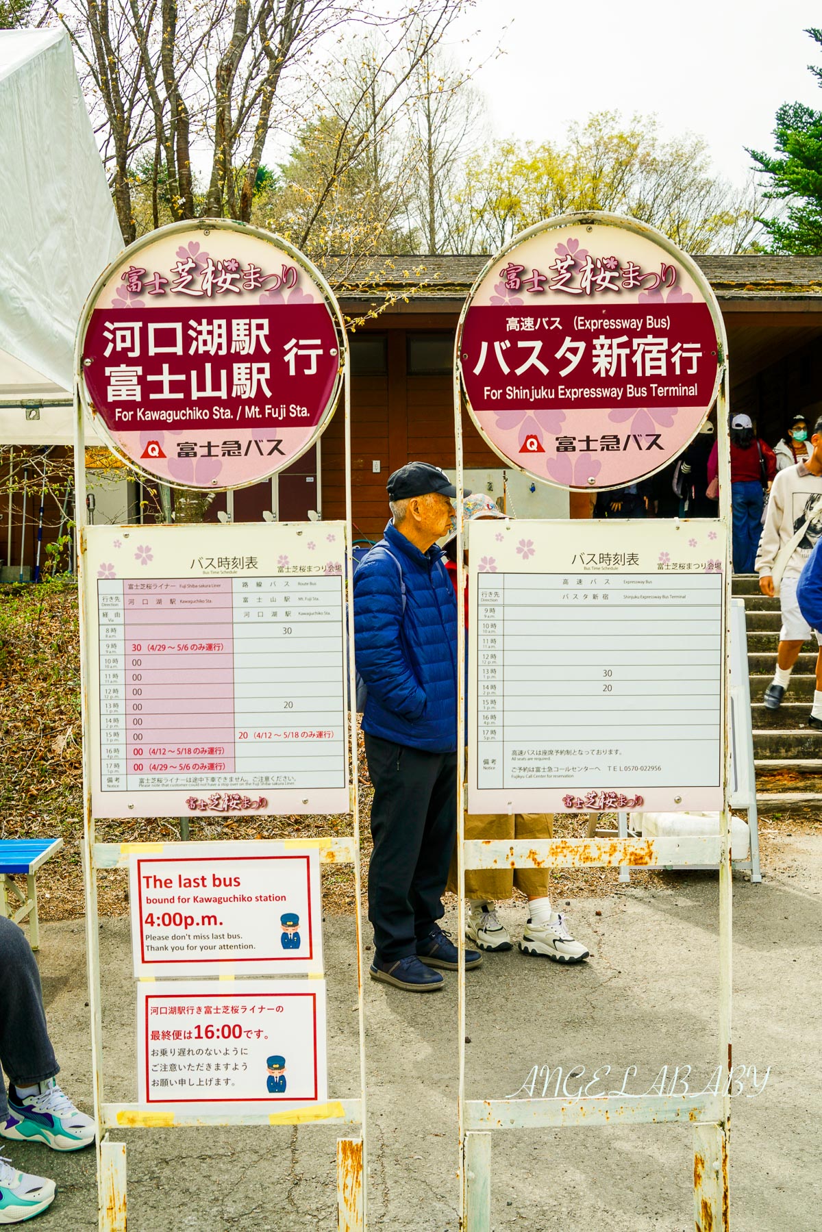 日本春季必訪芝櫻祭典『富士芝櫻祭』富士芝桜まつり怎麼去？富士山下的芝櫻花海 @梅格(Angelababy)享樂日記
