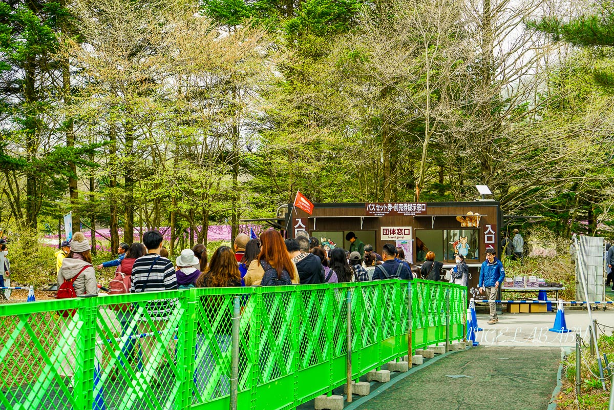 日本春季必訪芝櫻祭典『富士芝櫻祭』富士芝桜まつり怎麼去？富士山下的芝櫻花海 @梅格(Angelababy)享樂日記