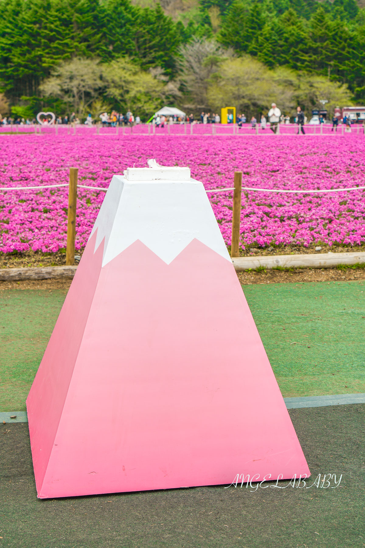 日本春季必訪芝櫻祭典『富士芝櫻祭』富士芝桜まつり怎麼去？富士山下的芝櫻花海 @梅格(Angelababy)享樂日記