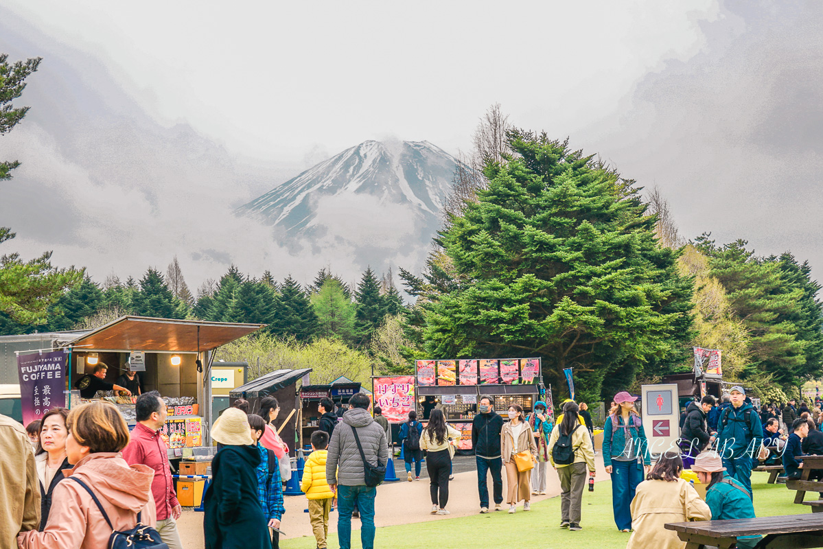 日本春季必訪芝櫻祭典『富士芝櫻祭』富士芝桜まつり怎麼去？富士山下的芝櫻花海 @梅格(Angelababy)享樂日記