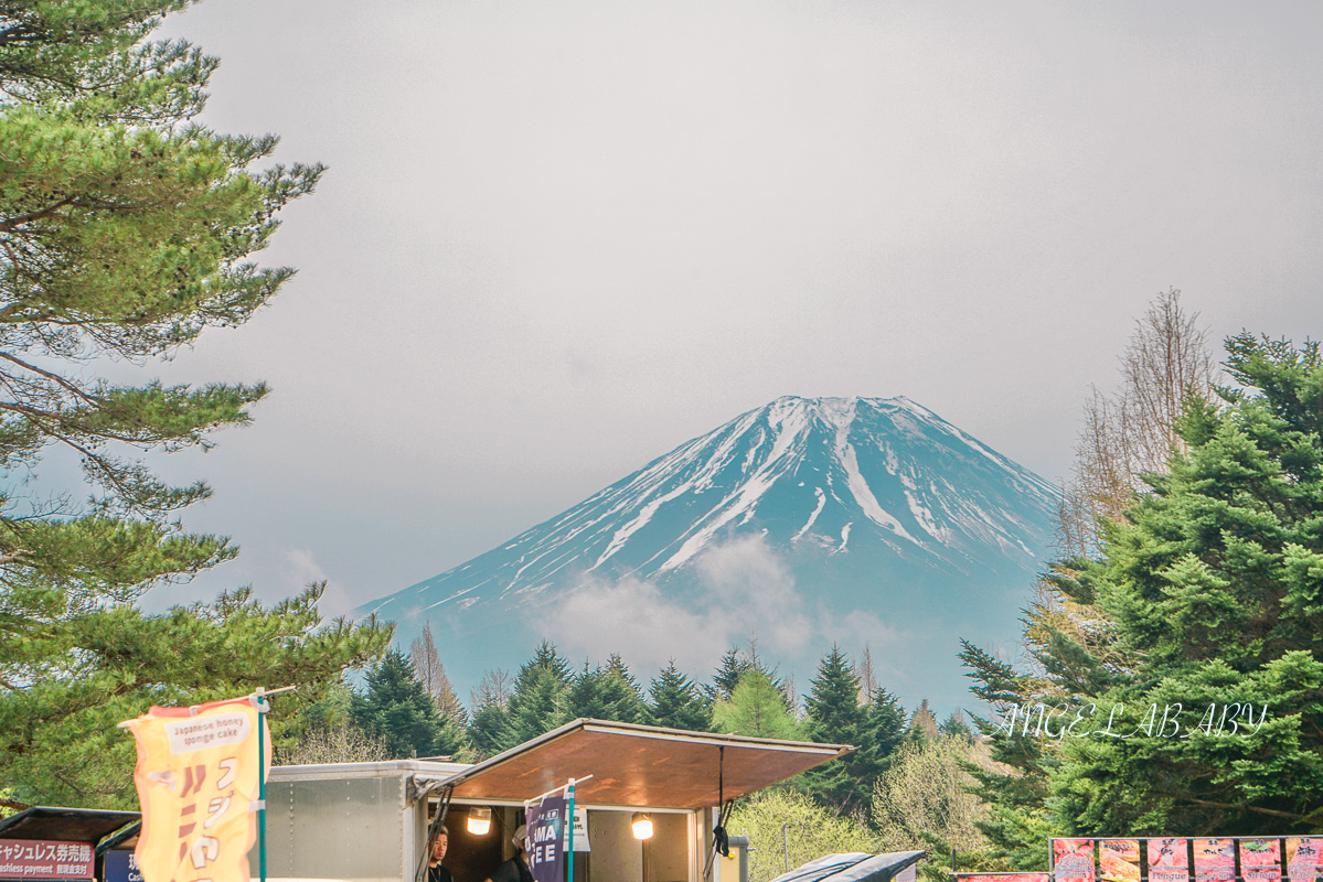 日本春季必訪芝櫻祭典『富士芝櫻祭』富士芝桜まつり怎麼去？富士山下的芝櫻花海 @梅格(Angelababy)享樂日記
