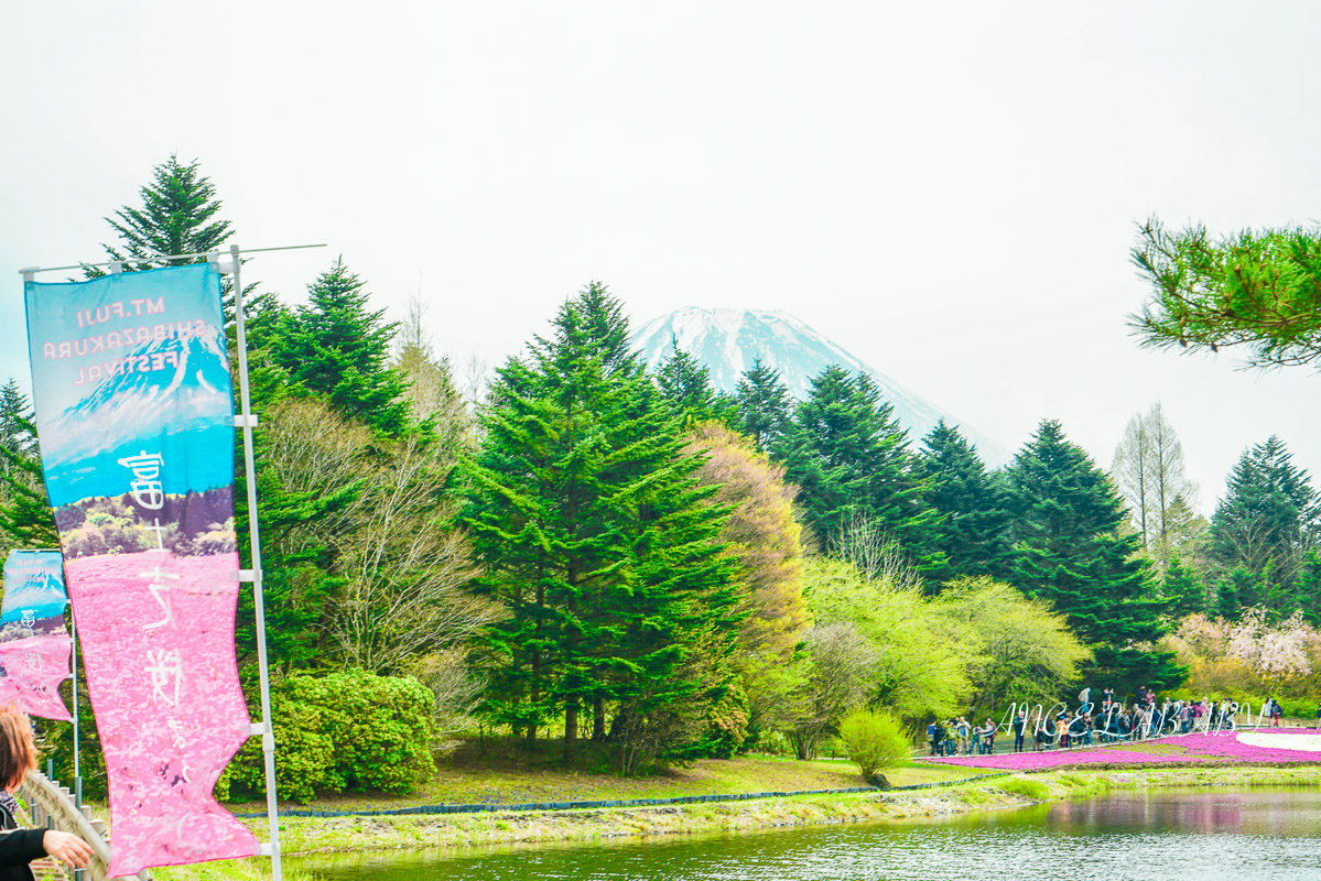 日本春季必訪芝櫻祭典『富士芝櫻祭』富士芝桜まつり怎麼去？富士山下的芝櫻花海 @梅格(Angelababy)享樂日記