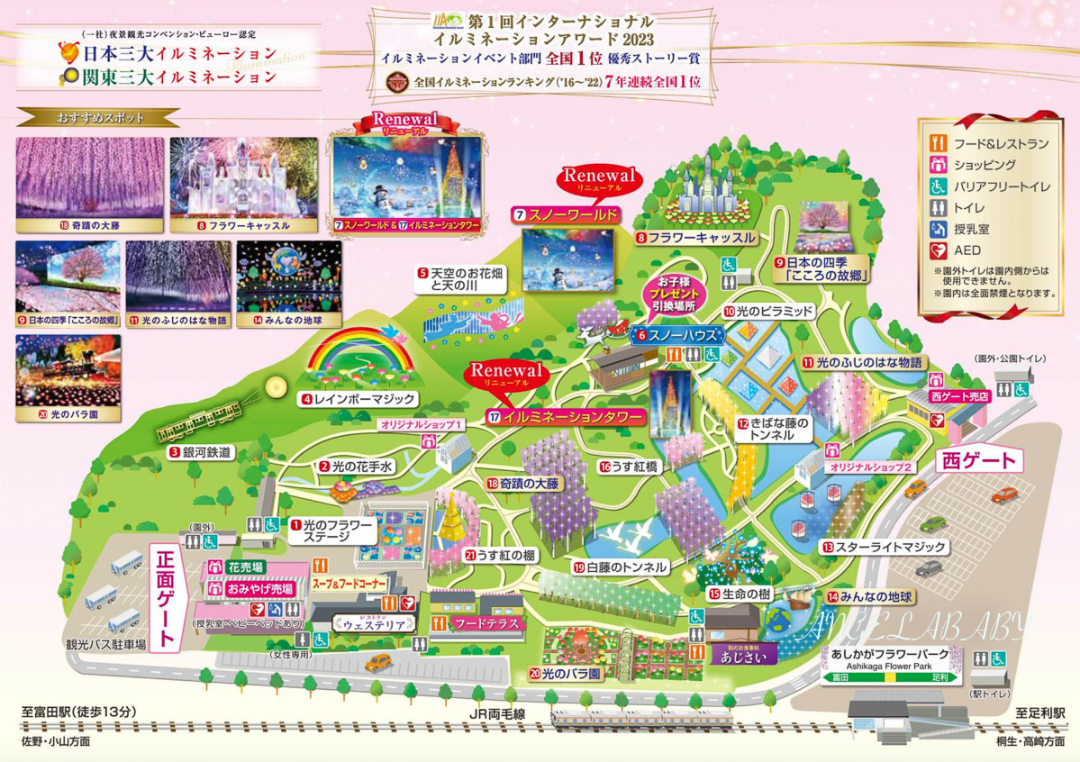 東京『足利花卉公園』CNN選為「世界10大夢幻旅遊景點」之一、鬼滅迷朝聖的必訪之地 @梅格(Angelababy)享樂日記