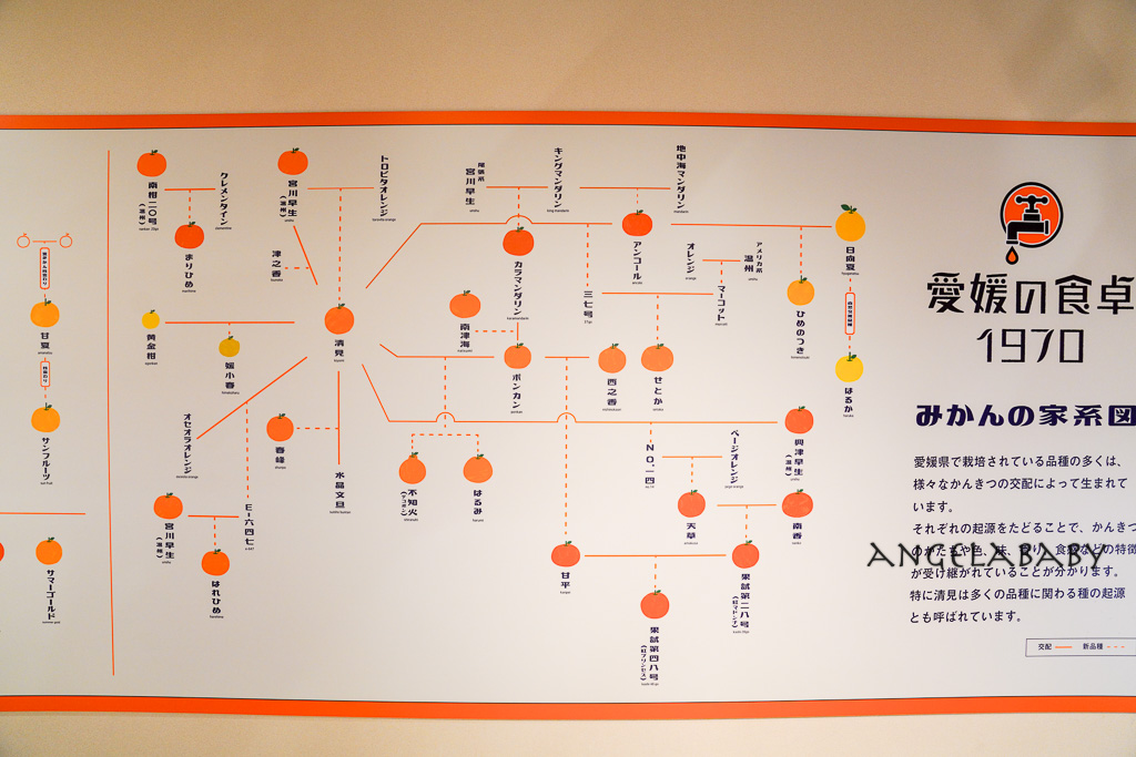 道後溫泉商店街必吃『愛媛の食卓1970』打開水龍頭就是橘子汁！ @梅格(Angelababy)享樂日記