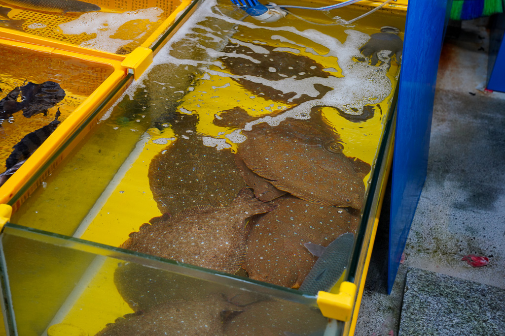 釜山札嘎其市場 (부산 자갈치시장)吃海鮮選第100攤、長腳蟹、鮑魚、帝王蟹、生章魚肥美新鮮招待超多 @梅格(Angelababy)享樂日記