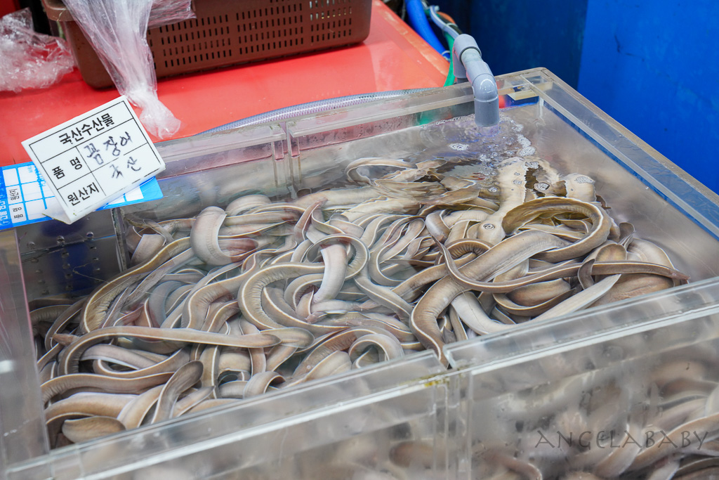 釜山札嘎其市場 (부산 자갈치시장)吃海鮮選第100攤、長腳蟹、鮑魚、帝王蟹、生章魚肥美新鮮招待超多 @梅格(Angelababy)享樂日記