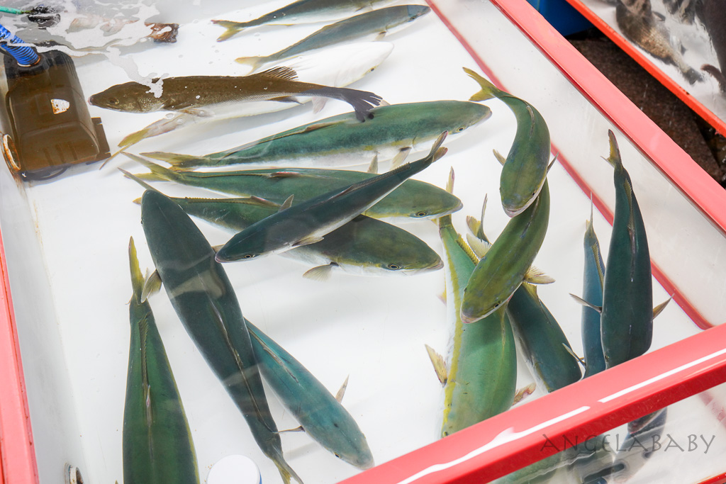 釜山札嘎其市場 (부산 자갈치시장)吃海鮮選第100攤、長腳蟹、鮑魚、帝王蟹、生章魚肥美新鮮招待超多 @梅格(Angelababy)享樂日記