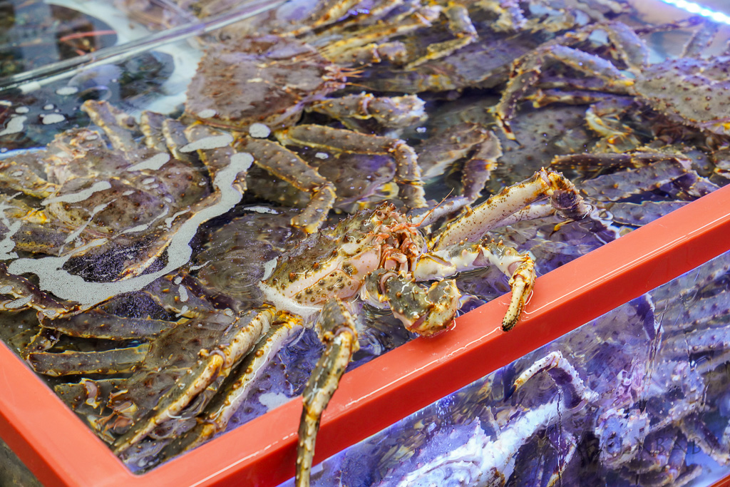 釜山札嘎其市場 (부산 자갈치시장)吃海鮮選第100攤、長腳蟹、鮑魚、帝王蟹、生章魚肥美新鮮招待超多 @梅格(Angelababy)享樂日記