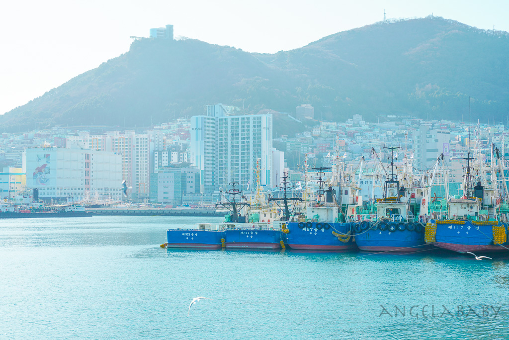 釜山札嘎其市場 (부산 자갈치시장)吃海鮮選第100攤、長腳蟹、鮑魚、帝王蟹、生章魚肥美新鮮招待超多 @梅格(Angelababy)享樂日記