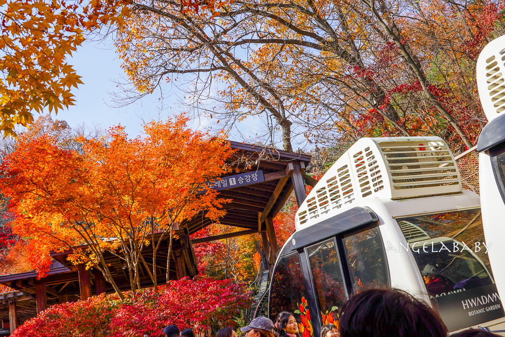 韓國首爾包車推薦『韓國華情旅行社/華情旅遊』客製化包車、京畿道和談林賞楓一日遊、機場接送、中文溝通! @梅格(Angelababy)享樂日記 韓國首爾包車推薦『韓國華情旅行社/華情旅遊』客製化包車、京畿道和談林賞楓一日遊、機場接送、中文溝通! @梅格(Angelababy)享樂日記