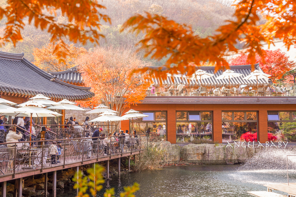 韓國首爾包車推薦『韓國華情旅行社／華情旅遊』客製化包車、京畿道和談林賞楓一日遊、機場接送、中文溝通！ @梅格(Angelababy)享樂日記