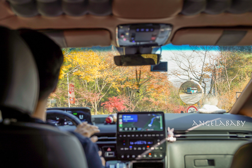 韓國首爾包車推薦『韓國華情旅行社／華情旅遊』客製化包車、京畿道和談林賞楓一日遊、機場接送、中文溝通！ @梅格(Angelababy)享樂日記