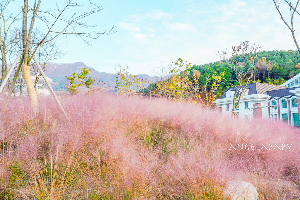 韓國首爾包車推薦『韓國華情旅行社/華情旅遊』客製化包車、京畿道和談林賞楓一日遊、機場接送、中文溝通! @梅格(Angelababy)享樂日記 韓國首爾包車推薦『韓國華情旅行社/華情旅遊』客製化包車、京畿道和談林賞楓一日遊、機場接送、中文溝通! @梅格(Angelababy)享樂日記