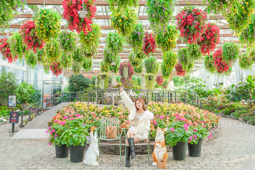 韓國首爾包車推薦『韓國華情旅行社/華情旅遊』客製化包車、京畿道和談林賞楓一日遊、機場接送、中文溝通! @梅格(Angelababy)享樂日記 韓國首爾包車推薦『韓國華情旅行社/華情旅遊』客製化包車、京畿道和談林賞楓一日遊、機場接送、中文溝通! @梅格(Angelababy)享樂日記