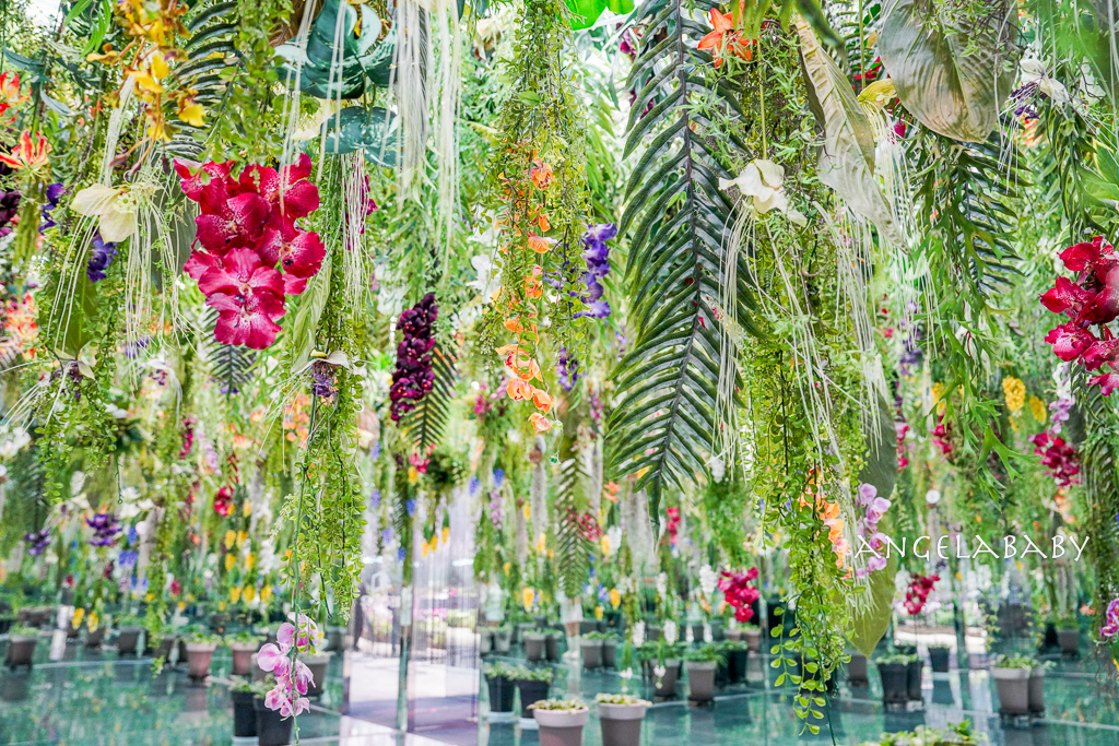 韓國首爾包車推薦『韓國華情旅行社／華情旅遊』客製化包車、京畿道和談林賞楓一日遊、機場接送、中文溝通！ @梅格(Angelababy)享樂日記