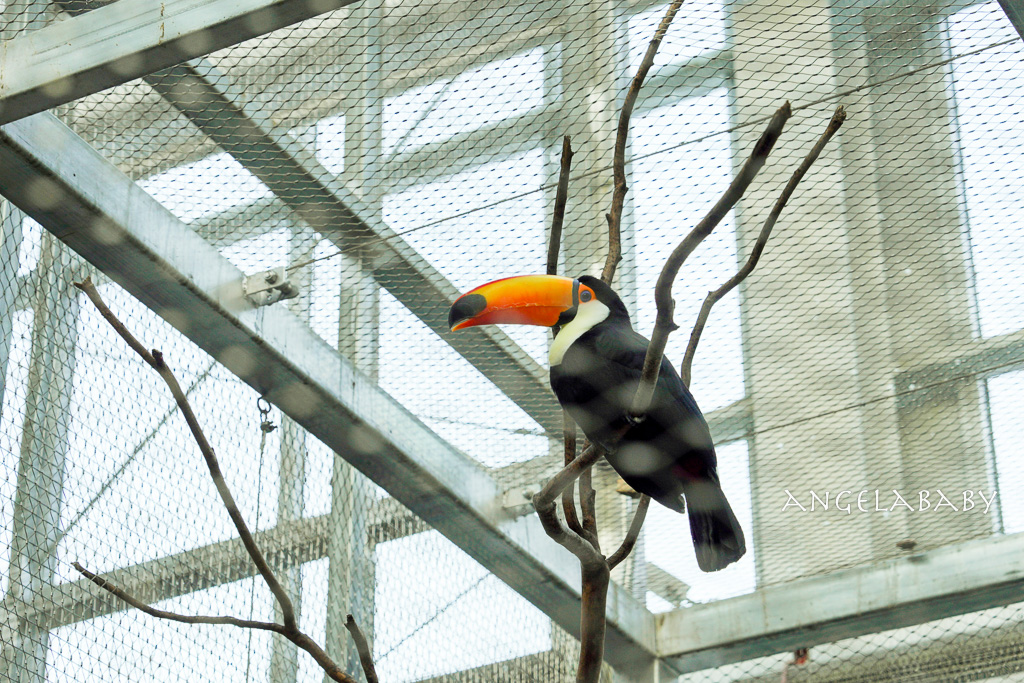 韓國首爾包車推薦『韓國華情旅行社/華情旅遊』客製化包車、京畿道和談林賞楓一日遊、機場接送、中文溝通! @梅格(Angelababy)享樂日記 韓國首爾包車推薦『韓國華情旅行社/華情旅遊』客製化包車、京畿道和談林賞楓一日遊、機場接送、中文溝通! @梅格(Angelababy)享樂日記