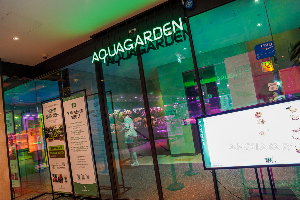 韓國首爾包車推薦『韓國華情旅行社/華情旅遊』客製化包車、京畿道和談林賞楓一日遊、機場接送、中文溝通! @梅格(Angelababy)享樂日記 韓國首爾包車推薦『韓國華情旅行社/華情旅遊』客製化包車、京畿道和談林賞楓一日遊、機場接送、中文溝通! @梅格(Angelababy)享樂日記