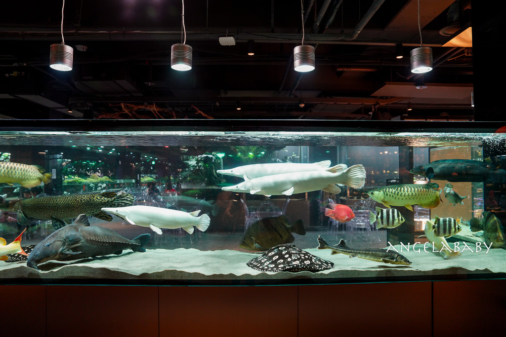 韓國首爾包車推薦『韓國華情旅行社／華情旅遊』客製化包車、京畿道和談林賞楓一日遊、機場接送、中文溝通！ @梅格(Angelababy)享樂日記