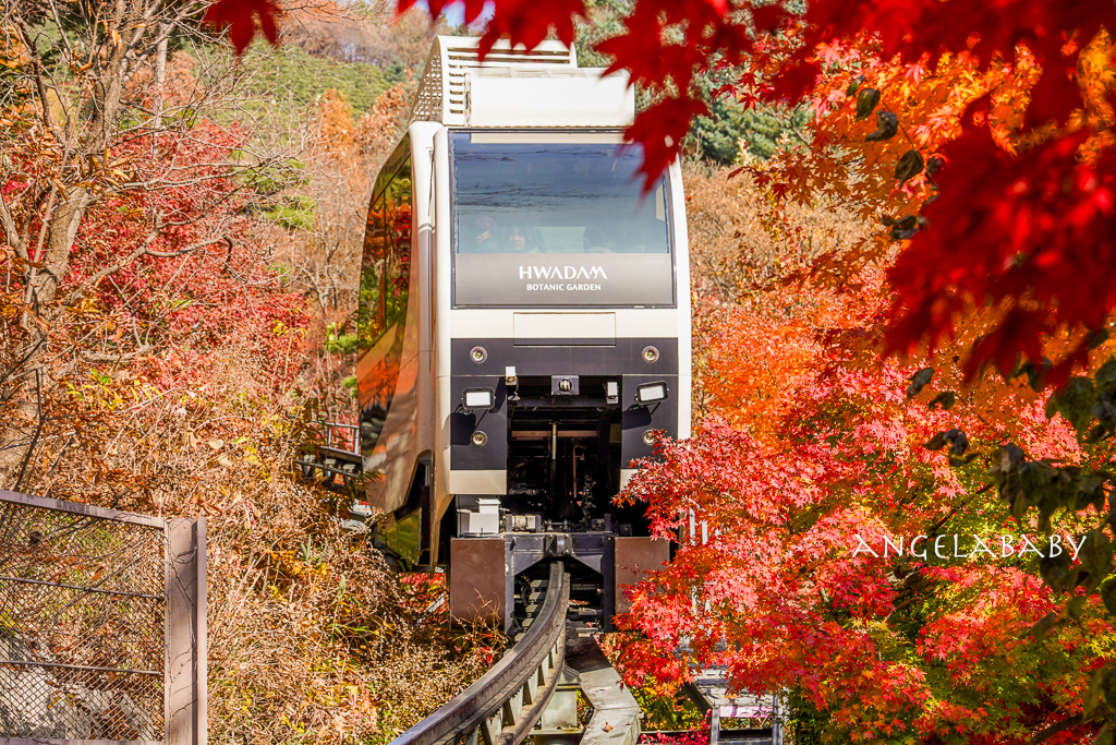 韓國首爾包車推薦『韓國華情旅行社/華情旅遊』客製化包車、京畿道和談林賞楓一日遊、機場接送、中文溝通! @梅格(Angelababy)享樂日記 韓國首爾包車推薦『韓國華情旅行社/華情旅遊』客製化包車、京畿道和談林賞楓一日遊、機場接送、中文溝通! @梅格(Angelababy)享樂日記