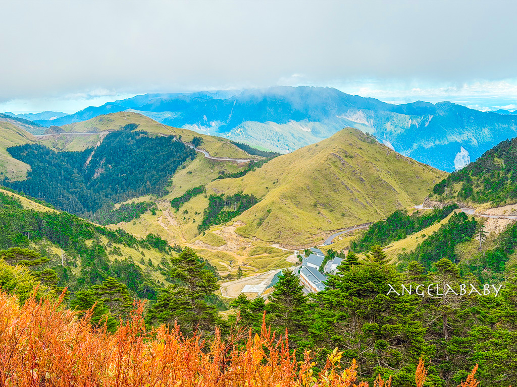 清境美食『雞大王活蝦啤酒城旗艦店』菜單、清境聚餐推薦、甕仔雞 @梅格(Angelababy)享樂日記