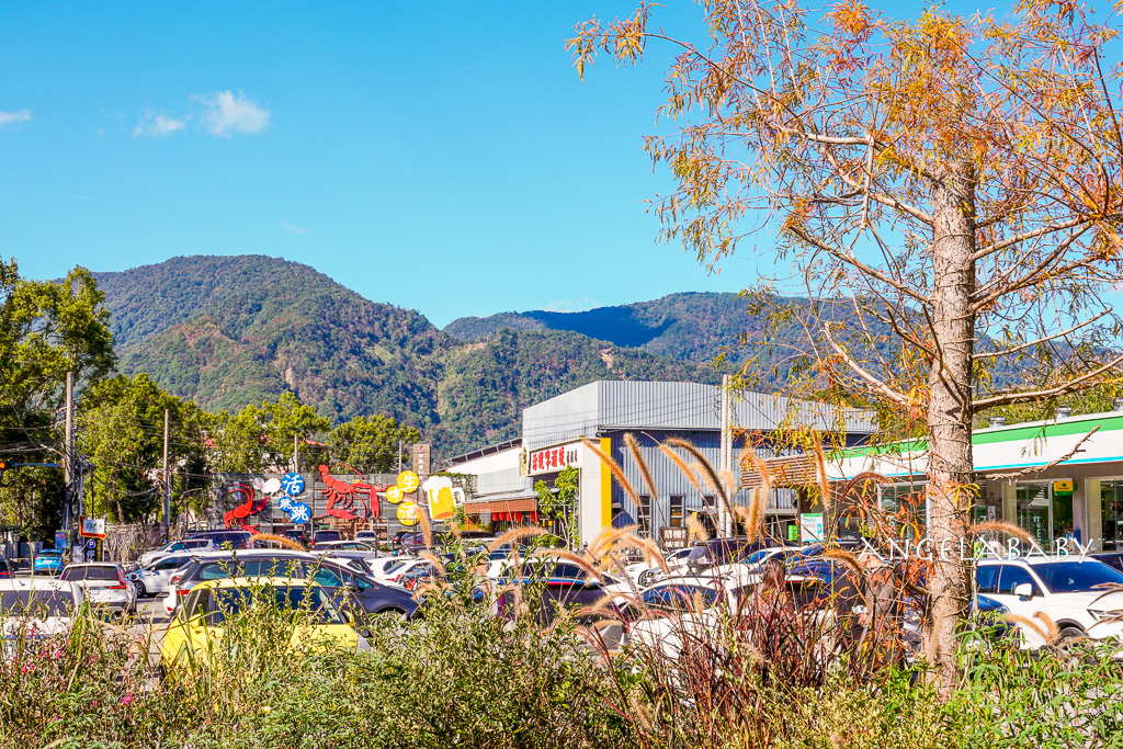 南投清境最美景觀玻璃屋咖啡『Mountain Bica Cafe』落羽松包圍的質感早午餐 @梅格(Angelababy)享樂日記 南投清境最美景觀玻璃屋咖啡『Mountain Bica Cafe』落羽松包圍的質感早午餐 @梅格(Angelababy)享樂日記