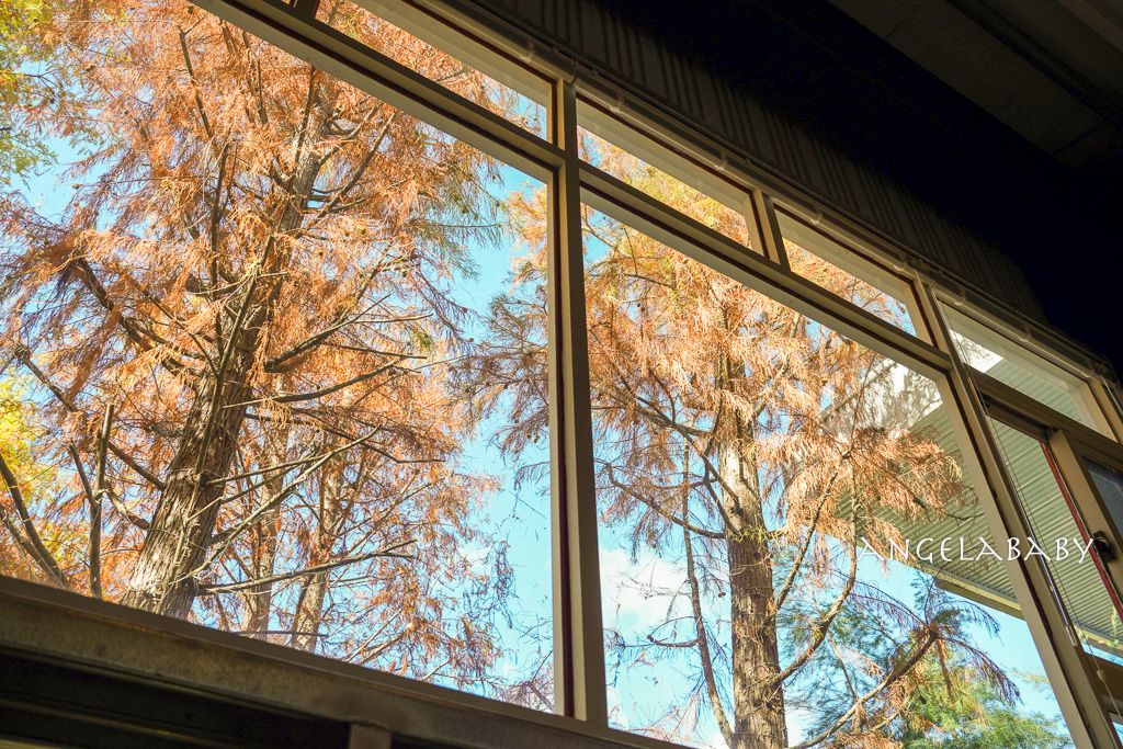 南投清境最美景觀玻璃屋咖啡『Mountain Bica Cafe』落羽松包圍的質感早午餐 @梅格(Angelababy)享樂日記 南投清境最美景觀玻璃屋咖啡『Mountain Bica Cafe』落羽松包圍的質感早午餐 @梅格(Angelababy)享樂日記