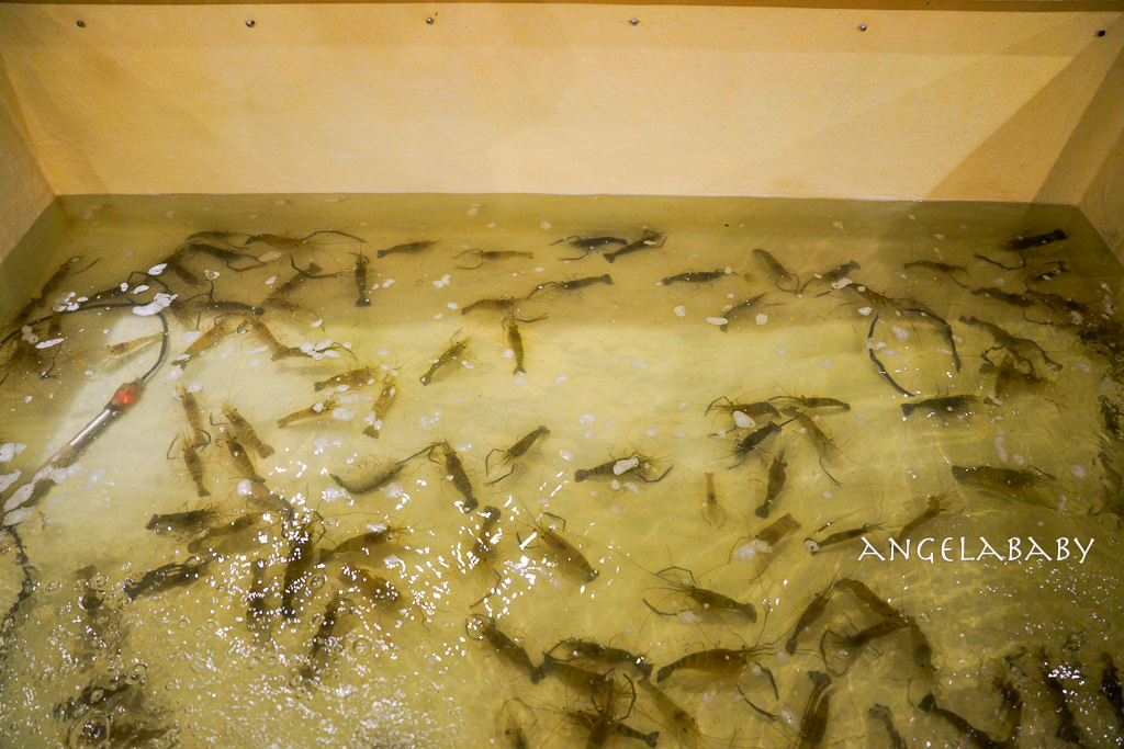 清境美食『雞大王活蝦啤酒城旗艦店』菜單、清境聚餐推薦、甕仔雞 @梅格(Angelababy)享樂日記