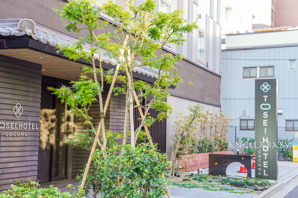 淺草甜點｜超好吃水果蛋糕『Petika』tabelog3.54分 @梅格(Angelababy)享樂日記