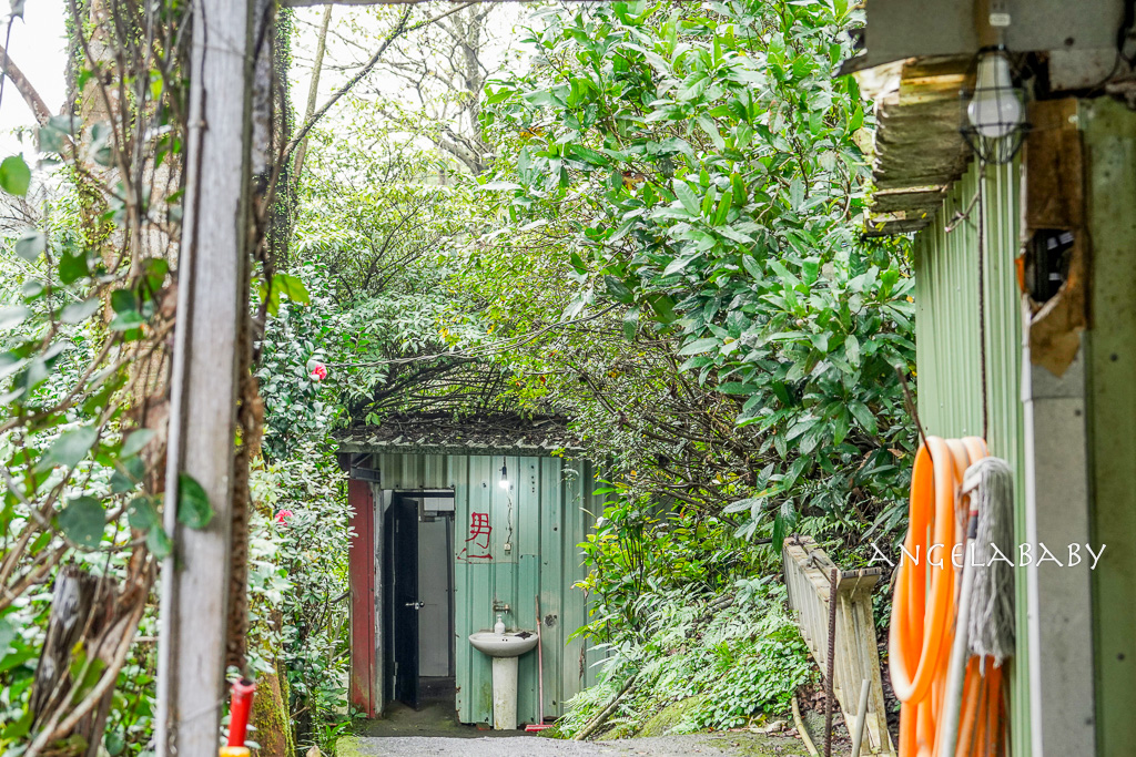 新北好吃土雞｜沒有門牌的深山鐵皮屋土雞『安安土雞城』菜單、白飯免費吃到飽 @梅格(Angelababy)享樂日記