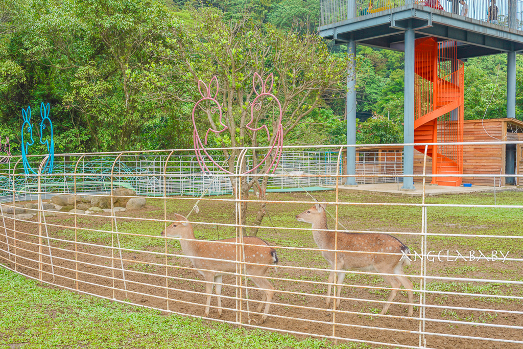 新北最新景點推薦『亮山川Lands & Stream Resort Park』自然生態、餐廳、烤肉、戲水、露營車 @梅格(Angelababy)享樂日記 新北最新景點推薦『亮山川Lands & Stream Resort Park』自然生態、餐廳、烤肉、戲水、露營車 @梅格(Angelababy)享樂日記