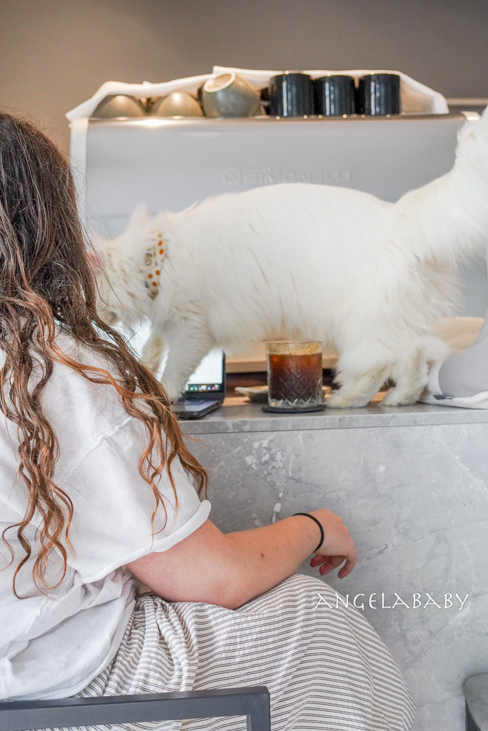 華山貓咪咖啡廳『ABOUT H Coffee』超好吃抹茶草莓千層蛋糕、貓奴咖啡聽 @梅格(Angelababy)享樂日記