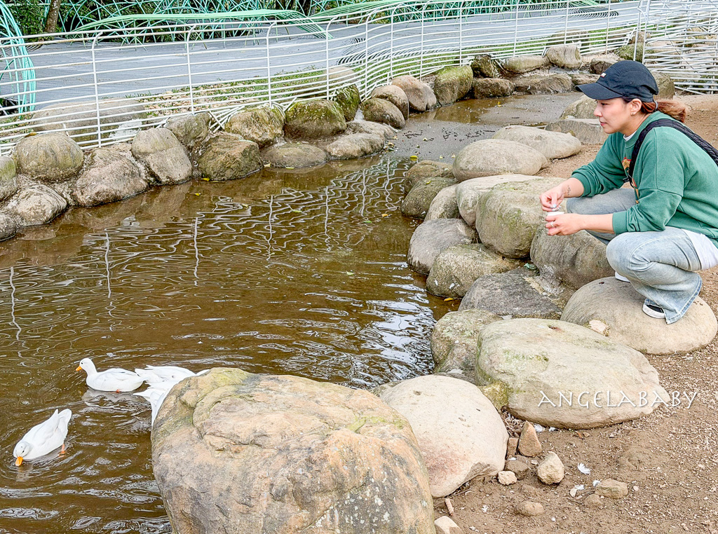 新北最新景點推薦『亮山川Lands & Stream Resort Park』自然生態、餐廳、烤肉、戲水、露營車 @梅格(Angelababy)享樂日記 新北最新景點推薦『亮山川Lands & Stream Resort Park』自然生態、餐廳、烤肉、戲水、露營車 @梅格(Angelababy)享樂日記