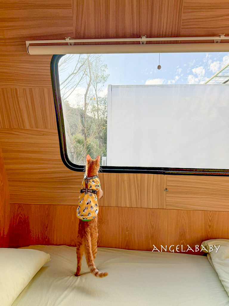 新北最新景點推薦『亮山川Lands & Stream Resort Park』自然生態、餐廳、烤肉、戲水、露營車 @梅格(Angelababy)享樂日記 新北最新景點推薦『亮山川Lands & Stream Resort Park』自然生態、餐廳、烤肉、戲水、露營車 @梅格(Angelababy)享樂日記