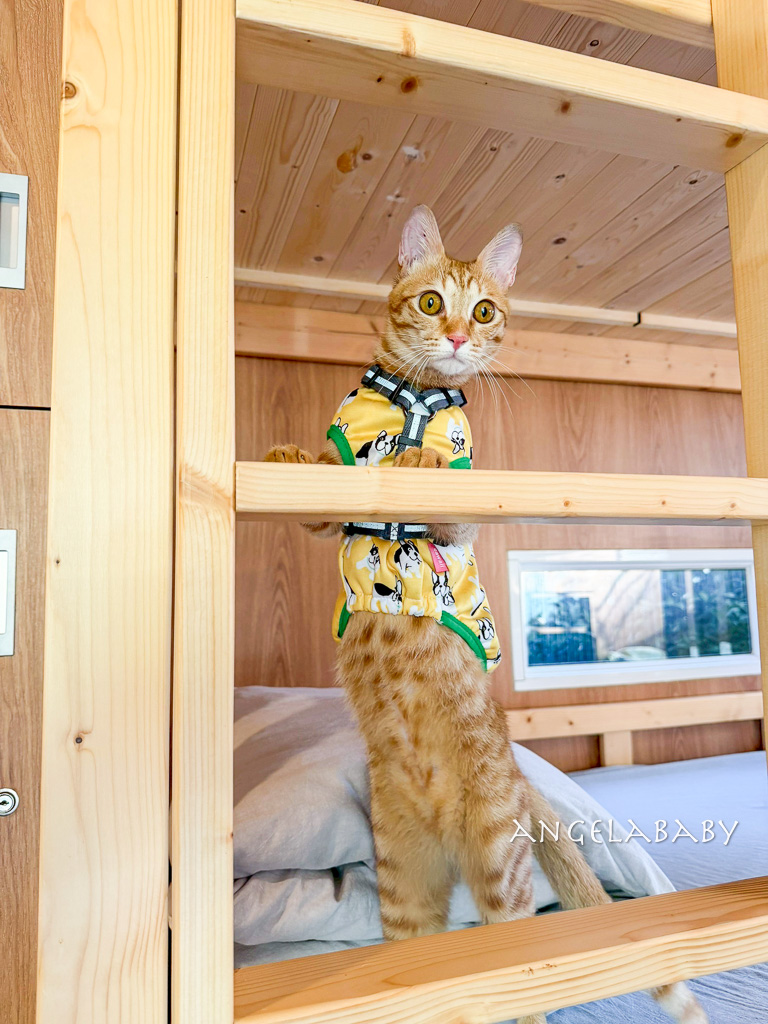 新北最新景點推薦『亮山川Lands & Stream Resort Park』自然生態、餐廳、烤肉、戲水、露營車 @梅格(Angelababy)享樂日記 新北最新景點推薦『亮山川Lands & Stream Resort Park』自然生態、餐廳、烤肉、戲水、露營車 @梅格(Angelababy)享樂日記