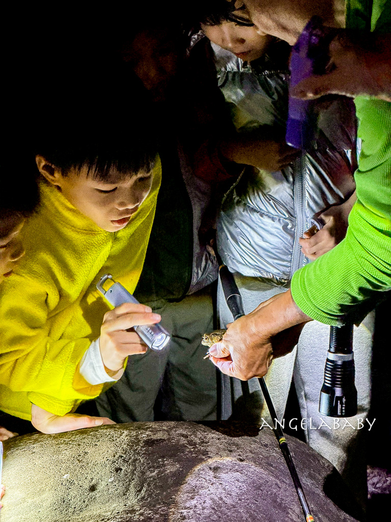 新北最新景點推薦『亮山川Lands & Stream Resort Park』自然生態、餐廳、烤肉、戲水、露營車 @梅格(Angelababy)享樂日記 新北最新景點推薦『亮山川Lands & Stream Resort Park』自然生態、餐廳、烤肉、戲水、露營車 @梅格(Angelababy)享樂日記