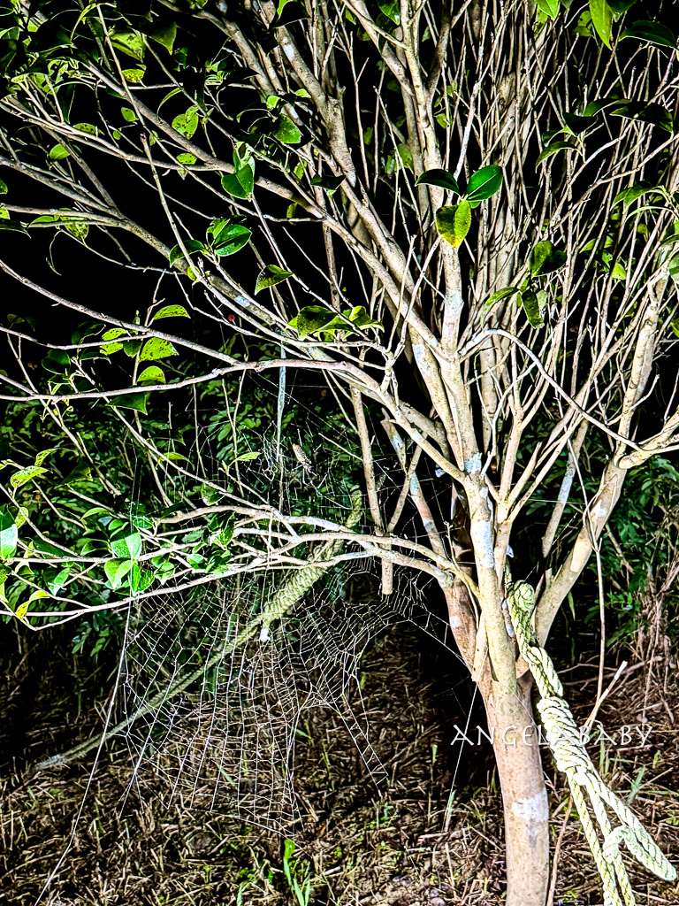 新北最新景點推薦『亮山川Lands & Stream Resort Park』自然生態、餐廳、烤肉、戲水、露營車&nbsp; @梅格(Angelababy)享樂日記