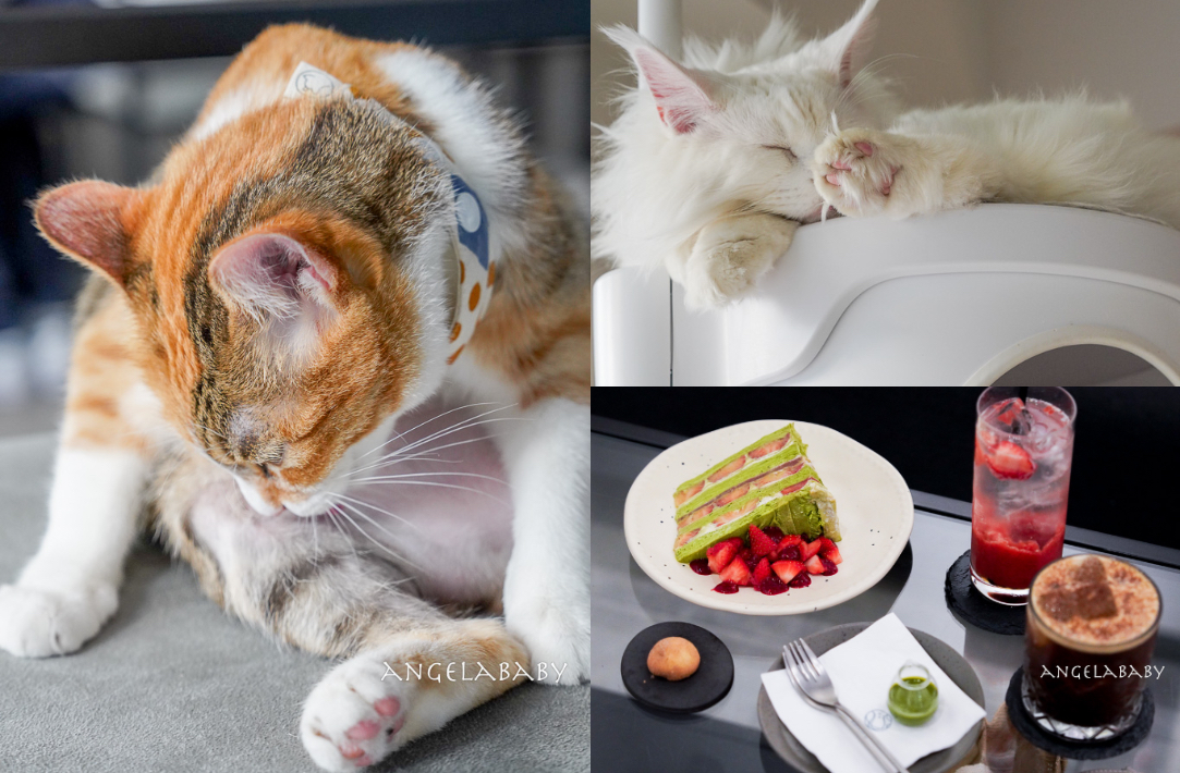 蘆洲站 好吃大份量美式餐廳#VEG OUT 耍廢空間 早午餐#好吃推薦:海味香煎牛小排#工業風好環境 @梅格(Angelababy)享樂日記