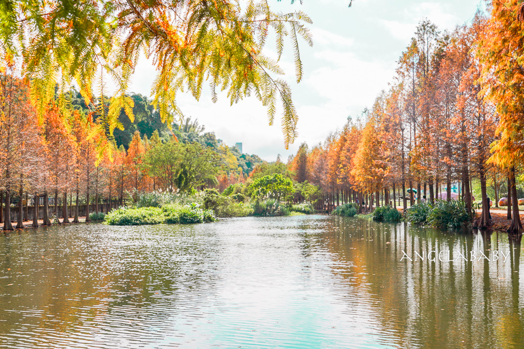 桃園大溪必吃『麵當家河南扯麵』老闆就是河南人家鄉美味帶回台灣 @梅格(Angelababy)享樂日記