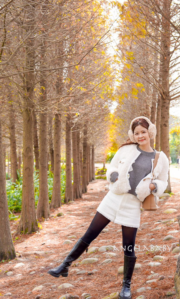 桃園落羽松『月眉人工濕地落羽松大道』怎麼去？ 歐風落羽松景點 @梅格(Angelababy)享樂日記