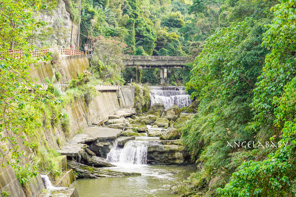 桃園落羽松『月眉人工濕地落羽松大道』怎麼去？ 歐風落羽松景點 @梅格(Angelababy)享樂日記
