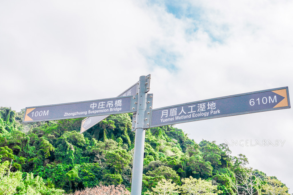 桃園落羽松『月眉人工濕地落羽松大道』怎麼去？ 歐風落羽松景點 @梅格(Angelababy)享樂日記