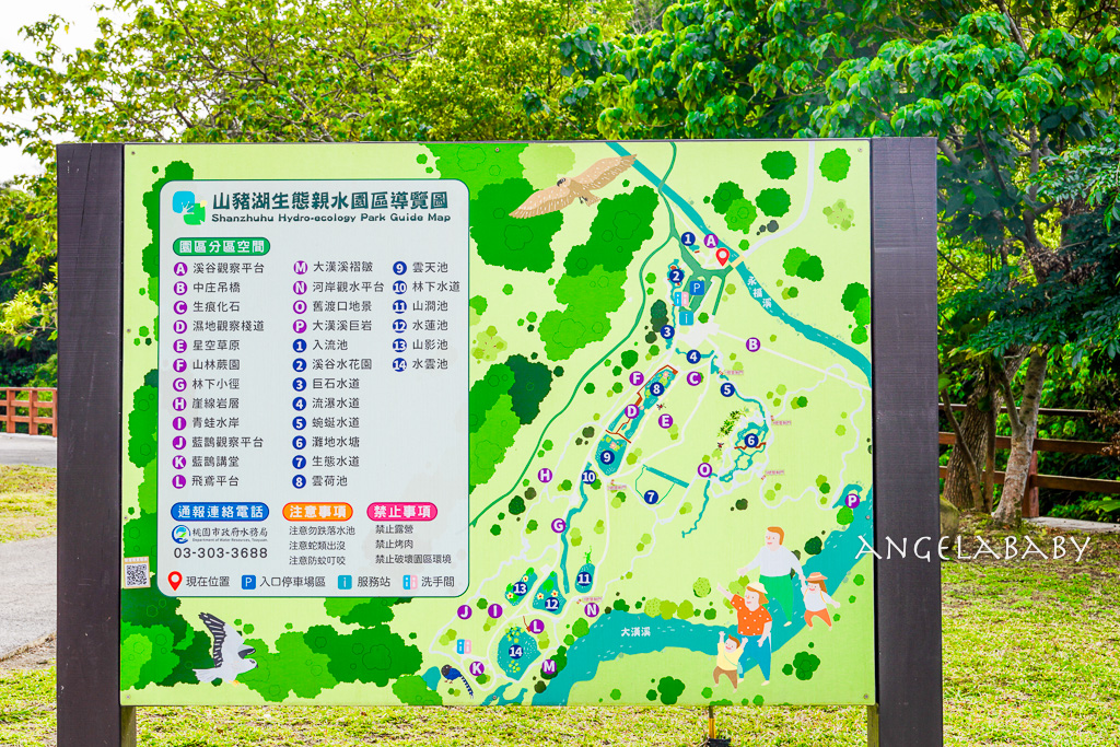 桃園落羽松『月眉人工濕地落羽松大道』怎麼去？ 歐風落羽松景點 @梅格(Angelababy)享樂日記