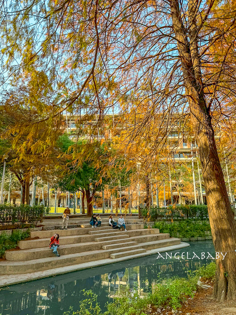 台北落羽松秘境｜士林官邸公園、落羽松步道 @梅格(Angelababy)享樂日記