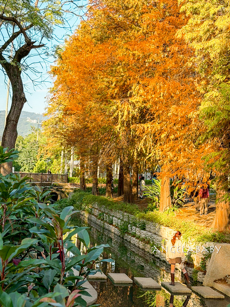台北落羽松秘境｜士林官邸公園、落羽松步道 @梅格(Angelababy)享樂日記